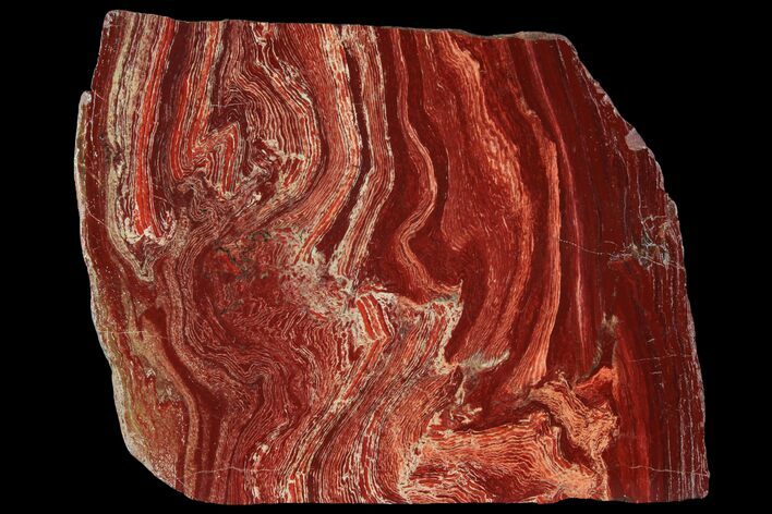 Polished Snakeskin Jasper Slab - Western Australia #95445